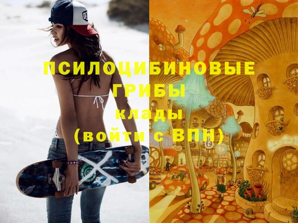 МДПВ Волоколамск