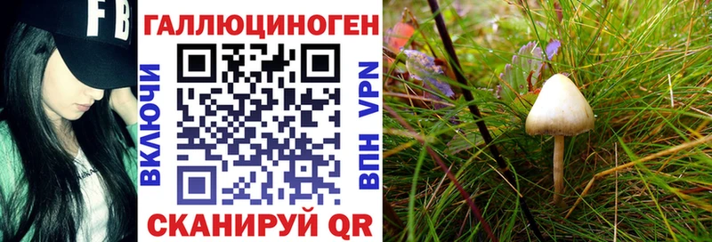 Псилоцибиновые грибы ЛСД  купить закладку  Батайск 